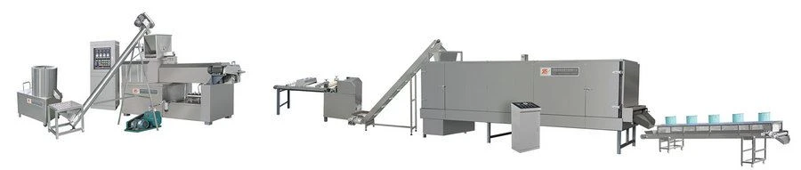 pasta making plant