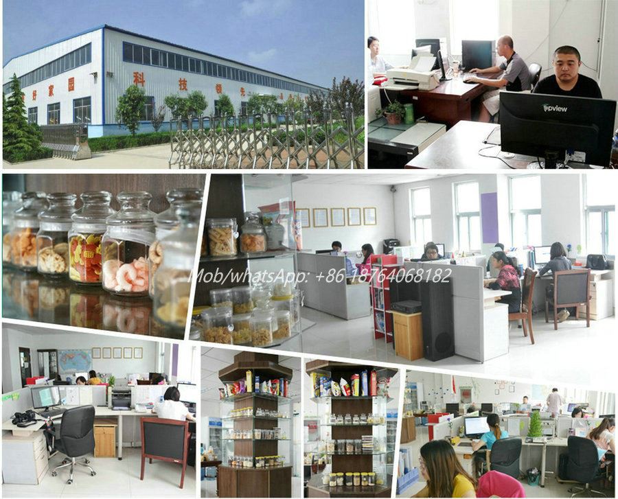 corn flakes machine factory
