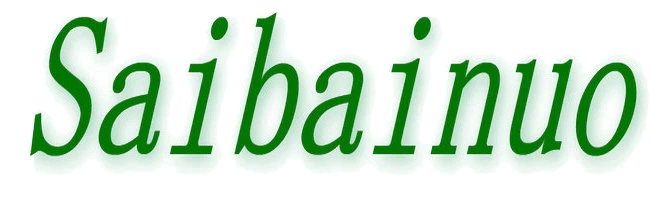 Jinan Saibainuo Extrusion Machinery Co., Ltd