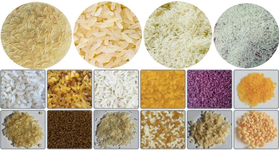 Artificial Fortified Rice Making Machines